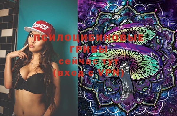 ECSTASY Вяземский